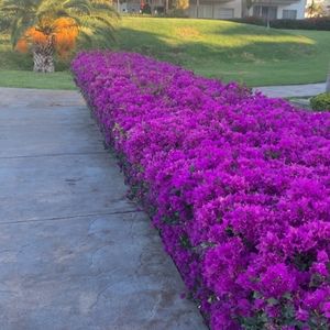 Meet your Posher, Janell